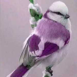 Meet your Posher, Cathy